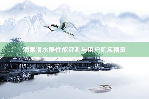 润索清水器性能评测与用户响应精良