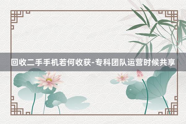 回收二手手机若何收获-专科团队运营时候共享