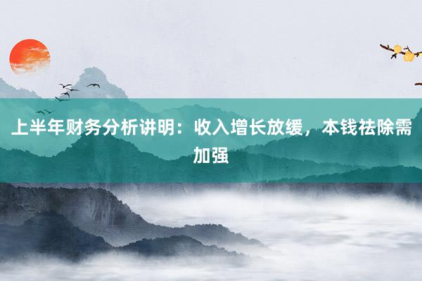 上半年财务分析讲明：收入增长放缓，本钱祛除需加强